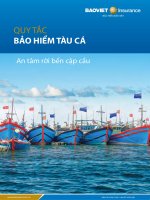 Quy tắc bảo hiểm thân tàu cá ban hành theo Quyết định số: 5373QĐBHBV ngày 16 tháng 11 năm 2016 của Tổng Giám đốc Tổng Công ty Bảo hiểm Bảo Việt