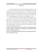 Hoàn thiện hoạt động truyền thông thương hiệu của công ty TNHH Vietnam Tour