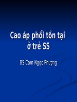 Cao áp phổi tồn tại Ở trẻ SƠ SINH, BV NHI ĐỒNG 1