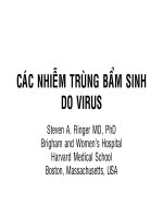 NHIỄM TRÙNG BÀO THAI DO VIRUS, BV NHI ĐỒNG 1