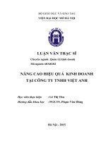 Luận văn thạc sỹ - Nâng cao hiệu quả kinh doanh của Công ty TNHH Việt Anh