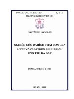 Nghiên cứu đa hình thái đơn gen MUC1 và PSCA trên bệnh nhân ung thư dạ dày 