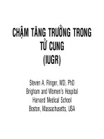 CHẬM TĂNG TRƯỞNG TRONG TỬ CUNG, BV NHI ĐỒNG 1