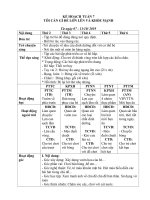 TUAN 7  GIÁO án lớp bé, mầm NON mơi NHẤT 