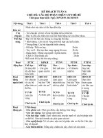 TUAN 6  GIÁO án lớp bé, mầm NON mơi NHẤT 