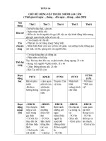 TUAN 24  GIÁO án lớp bé, mầm NON mơi NHẤT 