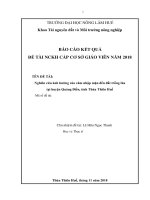 TÊN ĐỀ TÀI: Nghiên cứu ảnh hưởng của xâm nhập mặn đến đất trồng lúa tại huyện Quảng Điền, tỉnh Thừa Thiên Huế