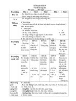 TUAN 9  GIÁO án lớp bé, mầm NON mơi NHẤT 