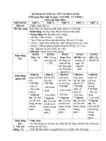 TUAN 22  GIÁO án lớp bé, mầm NON mơi NHẤT 