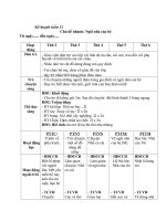 TUAN 11  GIÁO án lớp bé, mầm NON mơi NHẤT 