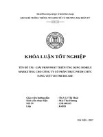 Giải pháp phát triển ứng dụng mobile marketing cho công ty cổ phần thực phẩm chức năng việt vietmedicare