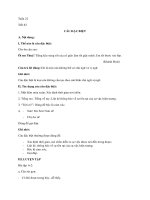 Câu đặc biệtNgữ văn 7