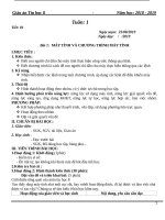 giáo án tin lớp 8 trọn bộ