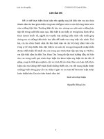 THỰC TRẠNG THỰC HIỆN HỢP ĐỒNG XUẤT KHẨU THÉP SANG THỊ TRƯỜNG LÀO