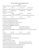 25  đề lý chuẩn số 20