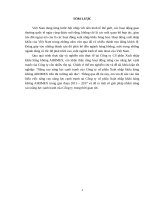 Nâng cao năng lực cạnh tranh của Công ty cổ phần Xuất nhập khẩu hàng không AIRIMEX trên thị trường nội địa