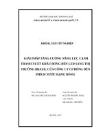 GIẢI PHÁP TĂNG CƯỜNG NĂNG LỰC CẠNH TRANH XUẤT KHẨU BÓNG ĐÈN LED SANG THỊ TRƯỜNG BRAZIL CỦA CÔNG CY CP BÓNG ĐÈN PHÍCH NƯỚC RẠNG ĐÔNG