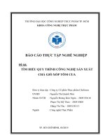 BÁO CÁO THỰC TẬP NGHỀ NGHIỆP TẠI CÔNG TY CHOLIMEX