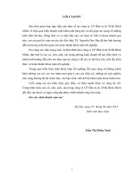 Nâng cao hiệu quả kinh doanh xuất khẩu mặt hàng đá vôi sang thị trường Ấn Độ của Công ty Cổ phần Đầu tư và Xuất nhập khẩu Bình Minh