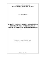 Sự phản xạ, khúc xạ của sóng đối với biên phân chia có độ nhám cao trong môi trường đàn hồi dị hướng 