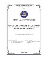 PHÁT TRIỂN THỊ TRƯỜNG TIÊU THỤ SẢN PHẨM BAO BÌ CARTON CỦA CÔNG TY CỔ PHẦN SẢN XUẤT THƯƠNG MẠI GIẤY PHONG CHÂU