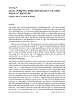 Vấn đề chung   quản lý đường thở chuyên sâu và đường thở khó trong ICU   VNE