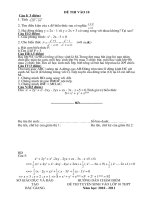 ĐỀ THI vào 10 bắc GIANG đợt 2 2010 2011 