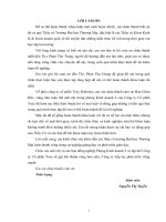 Quản trị quy trình thực hiện hợp đồng xuất khẩu mặt hàng robot Discorobo sang thị trường Mỹ của công ty cổ phần Tosy robtotics