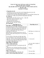 Giáo án thi bé bảo vệ các con vật sống trong rừng