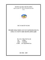 Báo cáo thực tập tổng hợp hoạt động sxkd Công ty CP DVVS môi trường Đông Khê