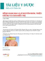 Bệnh giang mai là gì Nguyên nhân, triệu chứng và cách điều trị