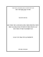 ĐẤU THẦU MUA SẮM HÀNG HÓA THEO PHƯƠNG THỨC MỘT GIAI ĐOẠN HAI TÚI HỒ SƠ THEO PHÁP LUẬT ĐẤU THẦU Ở VIỆT NAM HIỆN NAY