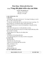 Vòng đời phát triển của bướm