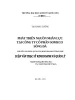 Luận văn thạc sỹ - Phát triển nguồn nhân lực tại Công ty cổ phần Someco Sông Đà