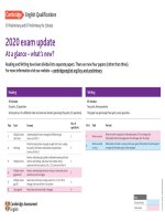 update-2020-b1-preliminary