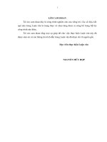 Chiến lược phát triển thị trường tiêu thụ sản phẩm làng nghề truyền thống tại huyện Ý Yên, tỉnh Nam Định 