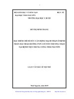 Đặc điểm chỉ số sức cản động mạch thận ở bệnh nhân đái tháo đường typ 2 có tổn thương thận tại bệnh viện trung ương thái nguyên 