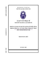 Pháp luật bảo vệ quyền lợi người tiêu dùng trong lĩnh vực an toàn thực phẩm từ thực tiễn thành phố hà nội  
