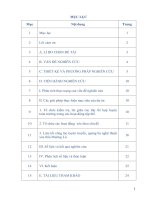 Nghệ thuật xòe Thái