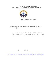 Nghiên cứu thuật toán ước lượng soc cho modul pin lithium 