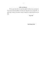 Giải pháp triển khai chính sách marketing nhằm phát triển thị trường của Tổng Công ty Bia Rượu Nước Giải khát Sài Gòn (SABECO) trên thị trường Miền bắc