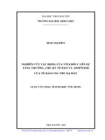 Nghiên cứu tác động của vitamin c lên sự tăng trưởng, chu kỳ tế bào và apoptosis của tế bào ung thư dạ dày 