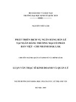 Luận văn thạc sỹ - Phát triển dịch vụ ngân hàng bán lẻ tại Ngân hàng Thương mại cổ phần Bản Việt - Chi nhánh Đắk Lắk