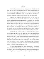 Đánh giá hiện trạng và đề xuất các giải pháp bảo vệ môi trường làng nghề Đậu Trà Lâm, xã Trí Quả, huyện Thuận Thành, tỉnh Bắc Ninh