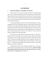 Luận văn thạc sỹ - Phát triển khách hàng hoạt động kinh doanh thương mại tại Ngân hàng TMCP Đầu tư và phát triển Việt Nam - CN Quang Trung