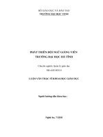 Biện pháp phát triển đội ngũ giảng viên Trường Đại học Hà Tĩnh