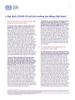 BC ILO TTLD VIETNAM covid 19