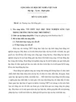 TỔ CHỨC dạy học TRẢI NGHIỆM SÁNG tạo  TRONG TRƯỜNG TRUNG học PHỔ THÔNG 