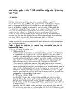 Ứng dụng Marketing quốc tế của NIKE khi thâm nhập vào thị trường Việt Nam