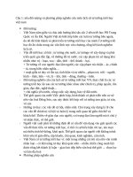 một số câu hỏi thi môn triết học Việt Nam